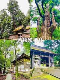【福井県】越前・若狭の御朱印旅