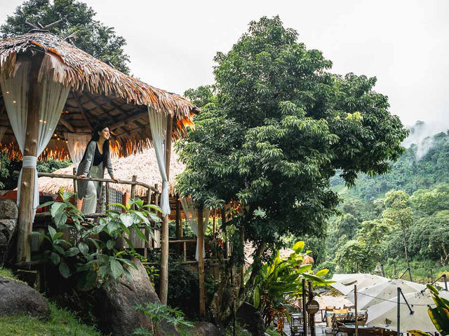 Stay Wild & Café