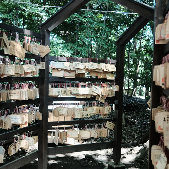 【埼玉】風鈴の音色が美しい🎐「川越氷川神社」