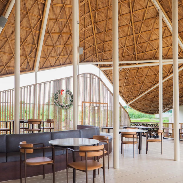 📍 Bamboo Light 🏡🏞️☕️