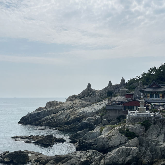 바다가 보이는 사찰 부산 해동용궁사 무료 입장가능한 관광지