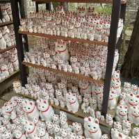 🐱⛩️🍀 Discovering Maneki-neko Magic at Gōtoku-ji Temple in Tokyo! 🌸🏯✨