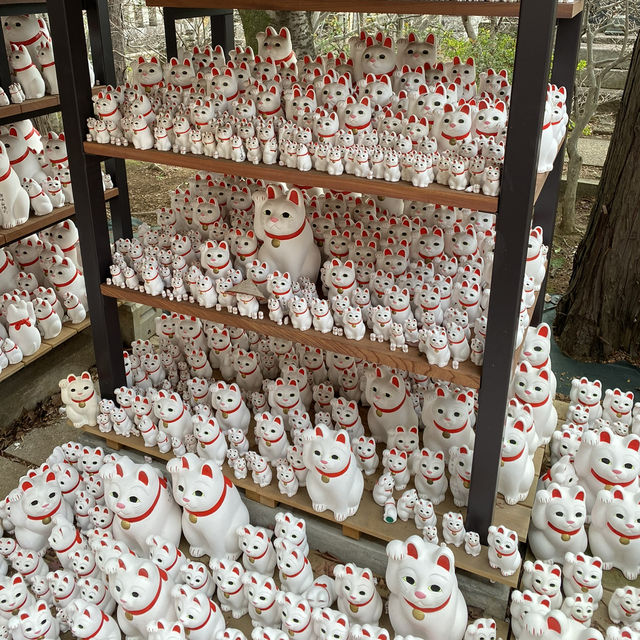 🐱⛩️🍀 Discovering Maneki-neko Magic at Gōtoku-ji Temple in Tokyo! 🌸🏯✨