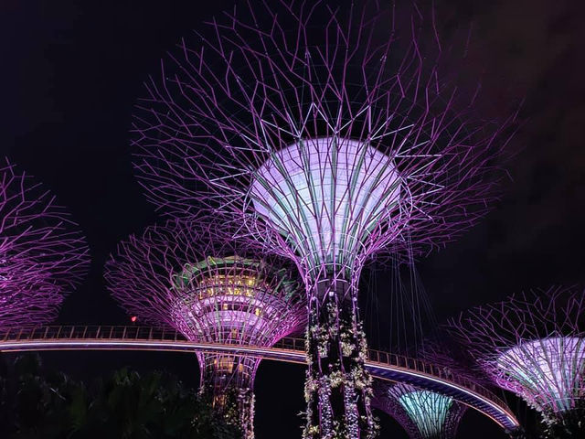 Uncovering Singapore's Hidden Gems