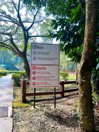 The Importance of Elephant Rescue at Elephant Sanctuary Kuala Gandah