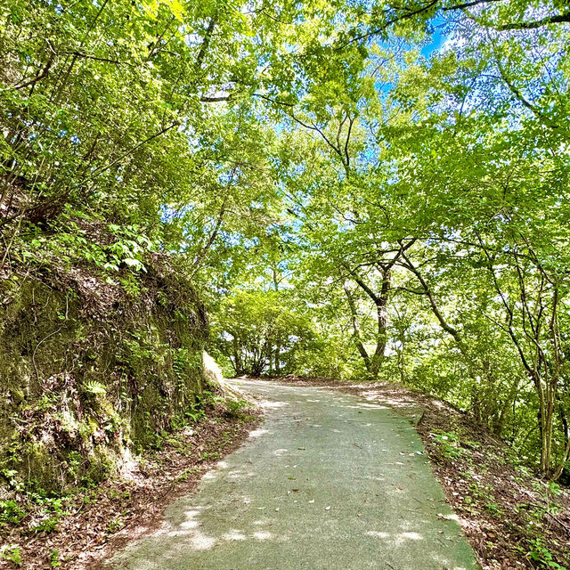 府民の森の中にある吊り橋