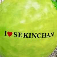 "Romantic Getaway in Sekinchan: Sunset Beaches, Wishing Trees, and Lover's Bridge"