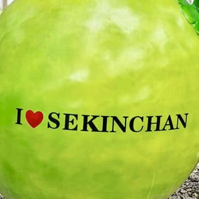 "Romantic Getaway in Sekinchan: Sunset Beaches, Wishing Trees, and Lover's Bridge"