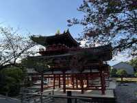 宇治平等院/日圓10円和10000円上的圖案