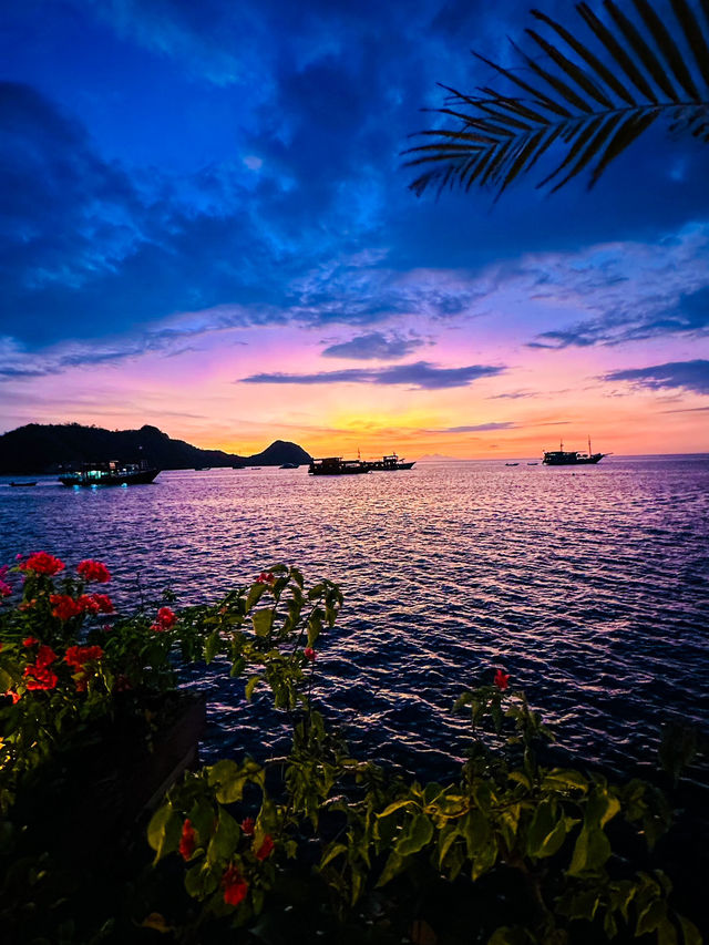 【🇮🇩 ラブハンバジョ】 世界屈指の夕焼けとピンクビーチ 【🇮🇩 ラブハンバジョ】 世界屈指の夕焼けとピンクビーチ