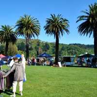 "Picton Esplanade: Enjoying Coastal Charm and Maritime Life in New Zealand"