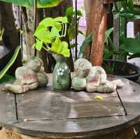 eight de klong
