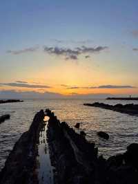 【神奈川】ねこ島🐈絶景夕陽スポットでお散歩
