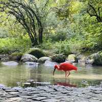 A Nature Escape in the City 