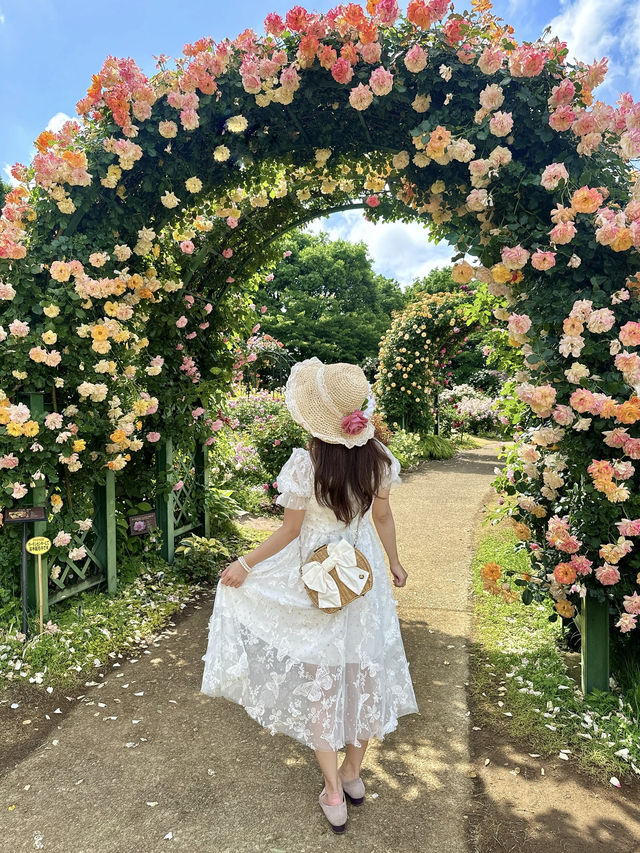 まるで本物？京成バラ園のバラアイス🌹🍨