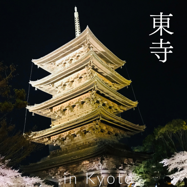【京都/南区】京都を代表するランドマークタワー「五重塔」