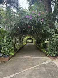 🌳Rimkao Valley Resort