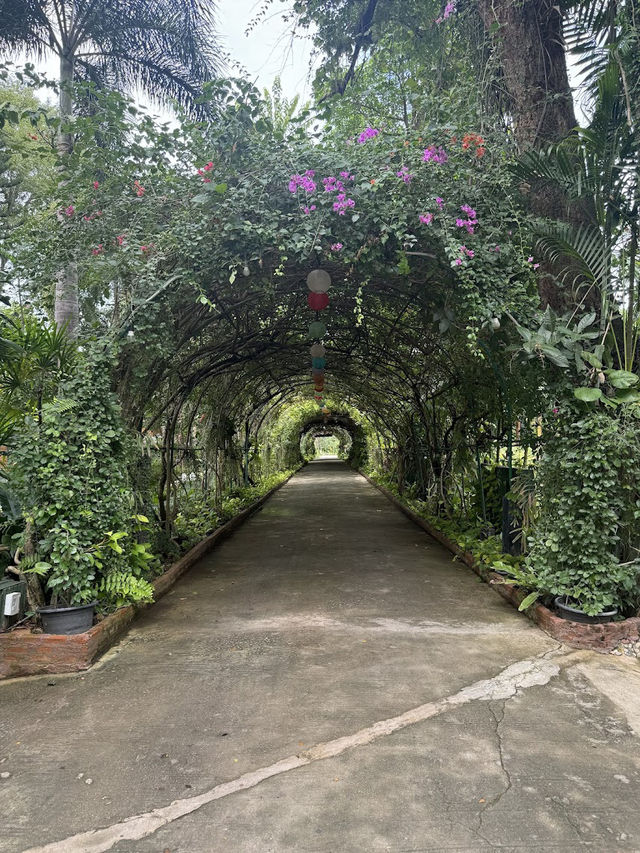 🌳Rimkao Valley Resort