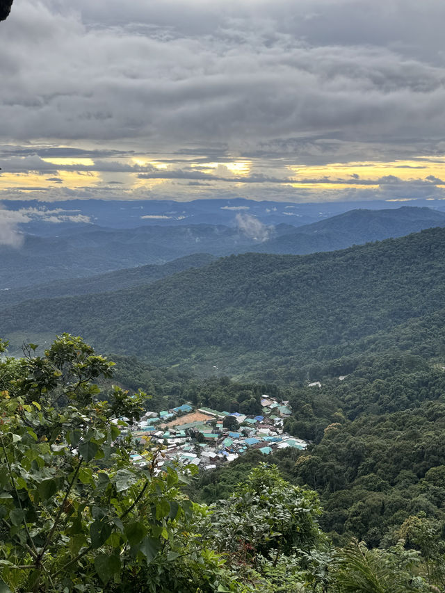 ดอยสุเทพ-ดอยปุย | ฤดูฝน ⛰️🌧️🌿🌳