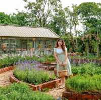 รีสอร์ทเขาใหญ่ La Cocotte Villa & Farm Khao Yai 