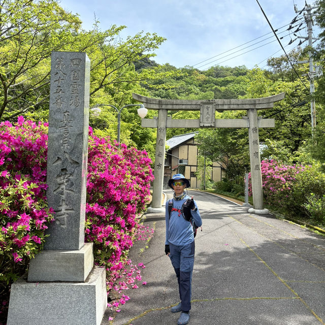 四國遍路+瀨戶內海單車遊