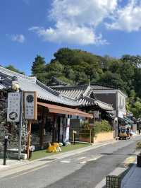 날 좋은날 전주 한옥마을 산책 어때요?!