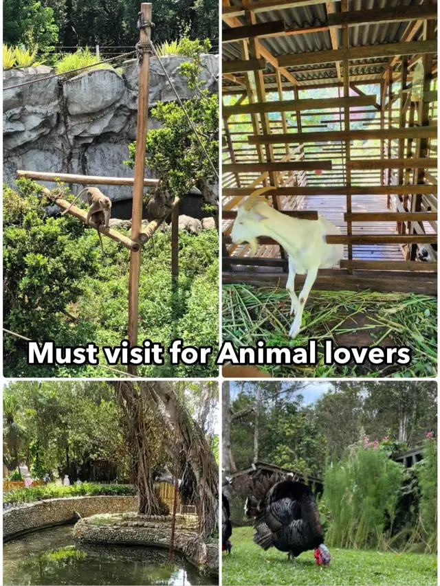 在新竹動物園與動物們共度歡樂時光 