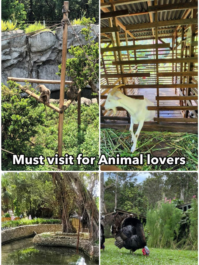 Fun time with Animal at the Zoo in Hsinchu 