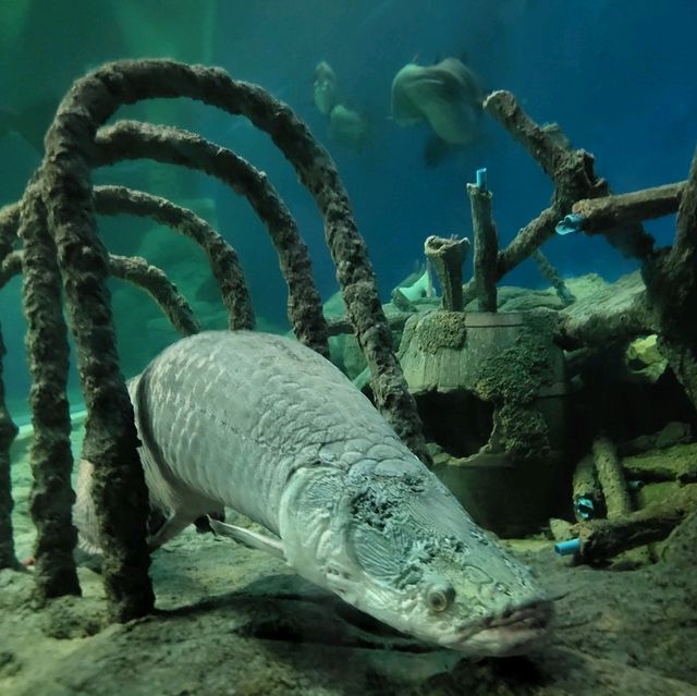 Underwater World Pattaya 