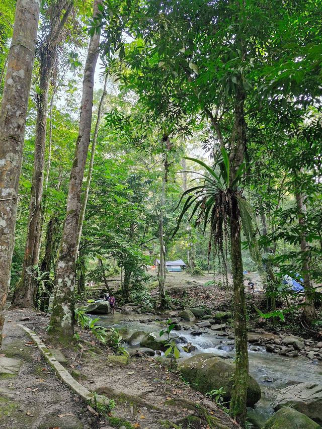 Escape to Nature: Sungai Congkak Recreational Forest