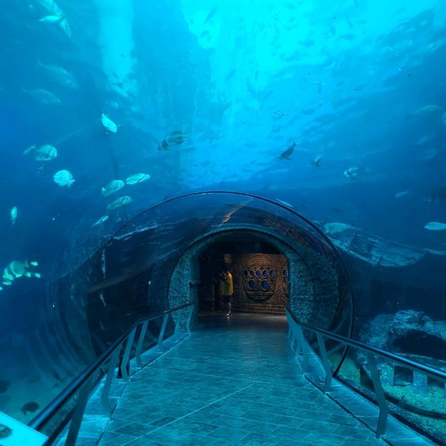 5天4夜的墾丁潛水旅遊