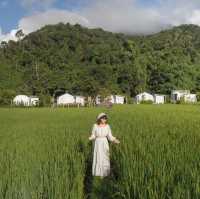 ที่พักน่าน ฟิลชนบทญี่ปุ่น Ikigawa Home 
