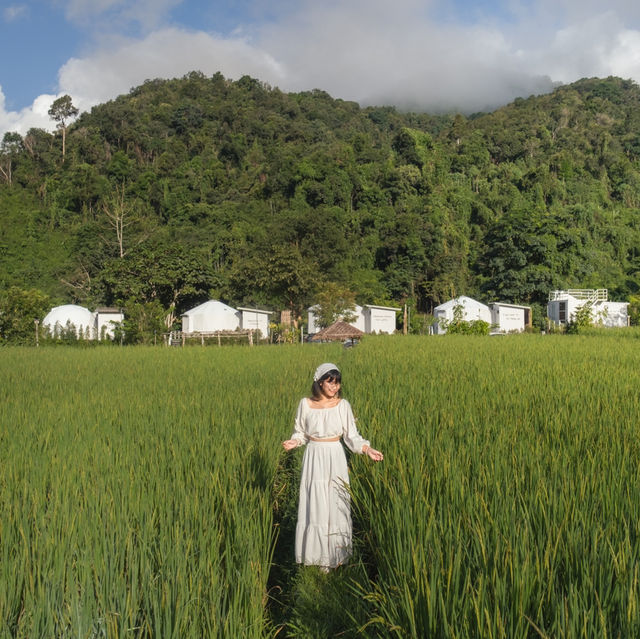 ที่พักน่าน ฟิลชนบทญี่ปุ่น Ikigawa Home 