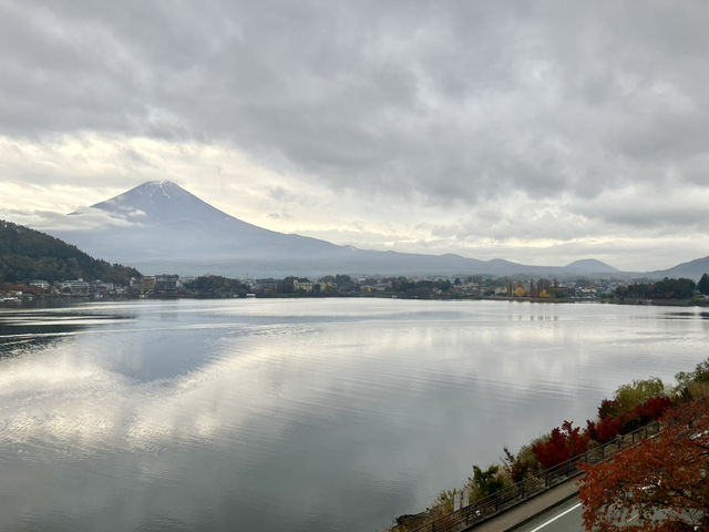 河口湖紅葉季