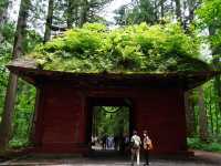 【長野/長野市】パワースポット戸隠神社