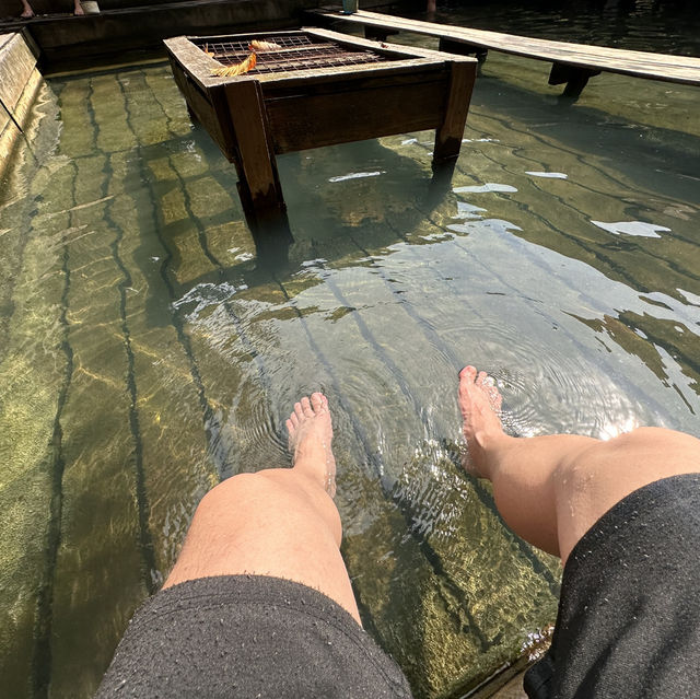 Local Hot Spring Surrounded By Nature!