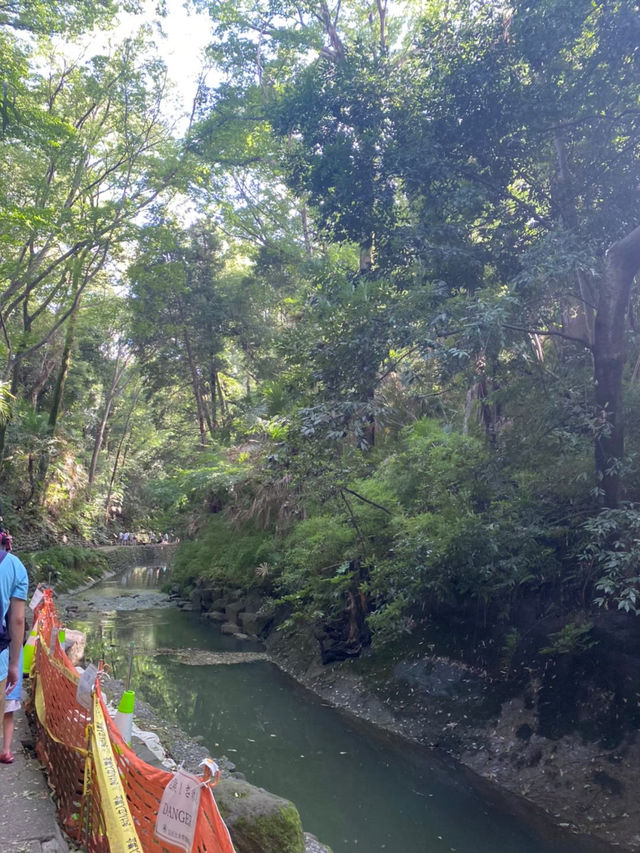 【世田谷区】都会を忘れる23区内唯一の自然渓谷🌳