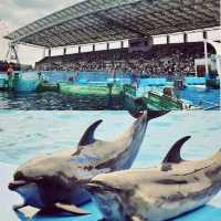 名古屋港水族館 NAGOYA