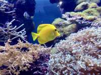 海洋世界海之中道-福岡最受歡迎的的海洋世界與水族館