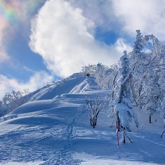 ～沼尻滑雪場～冬季天堂～