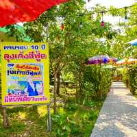 ร้านอาหารทะเลรสเด็ดคลองโคน