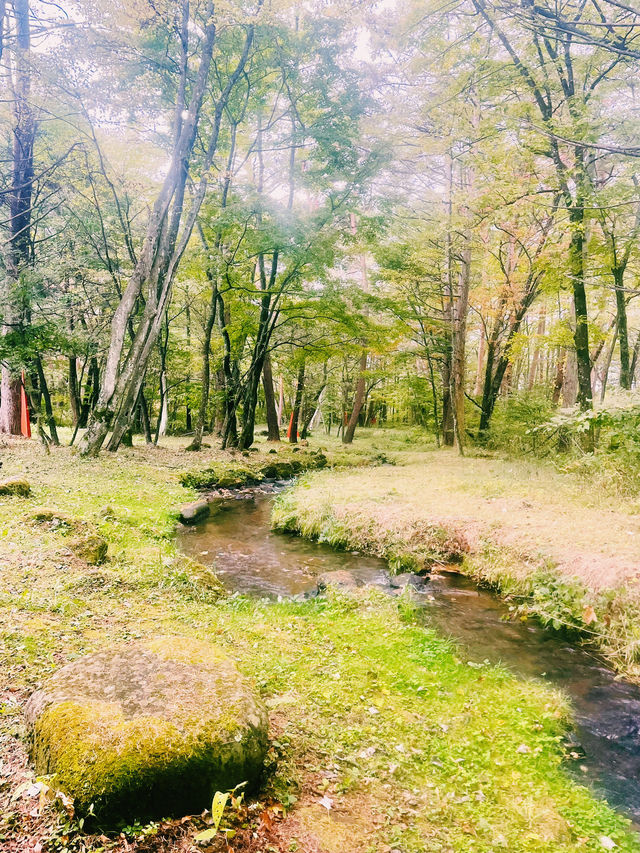 【長野県/原村　八ヶ岳の大自然を満喫！手作りハウスからオーガニック野菜まで楽しめる場所】