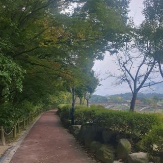 千年之森!!!  咸陽上林公園!!!  歷史公園!!!
