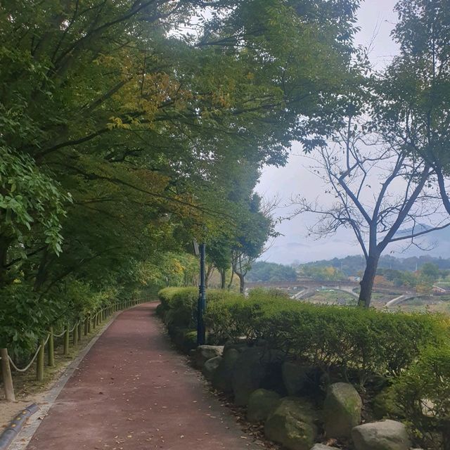 천년의 숲!!!  함양 상림 공원!!!  역사의 공원!!!