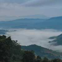 Le doi ดอยช้าง เชียงราย
