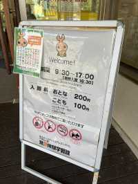 【佐久市】昆虫好き必見！子ども1人100円で楽しめる昆虫館！