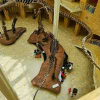 @ FERNBANK MUSEUM OF NATURAL HISTORY.