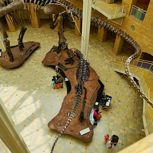 @ FERNBANK MUSEUM OF NATURAL HISTORY.