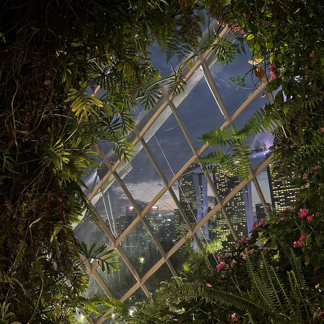 Garden of Eden?!