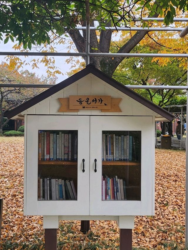 가을의 정취를 만끽할 수 있는 정독도서관📚🧡